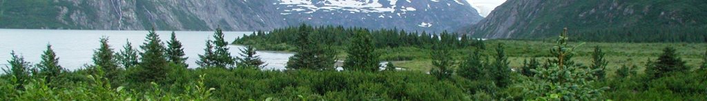 Visibility header image 2